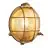 Nordlux Polperro Applique Murale Verre Laiton | 195mm - IP64 - Convient pour E27